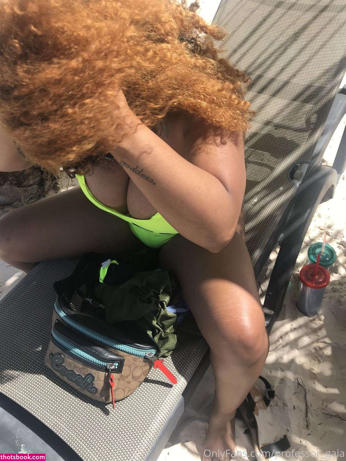 Professor Gaia Photo #31