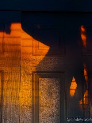 Hailie Rosie Photo #5