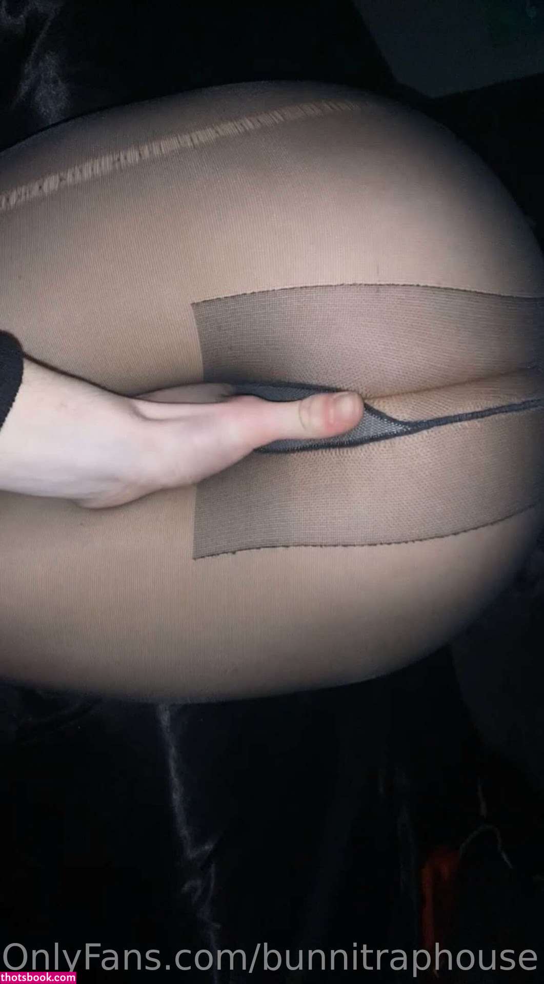 bunnitraphouse Photo #2