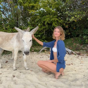 Willow Hand Photo #304