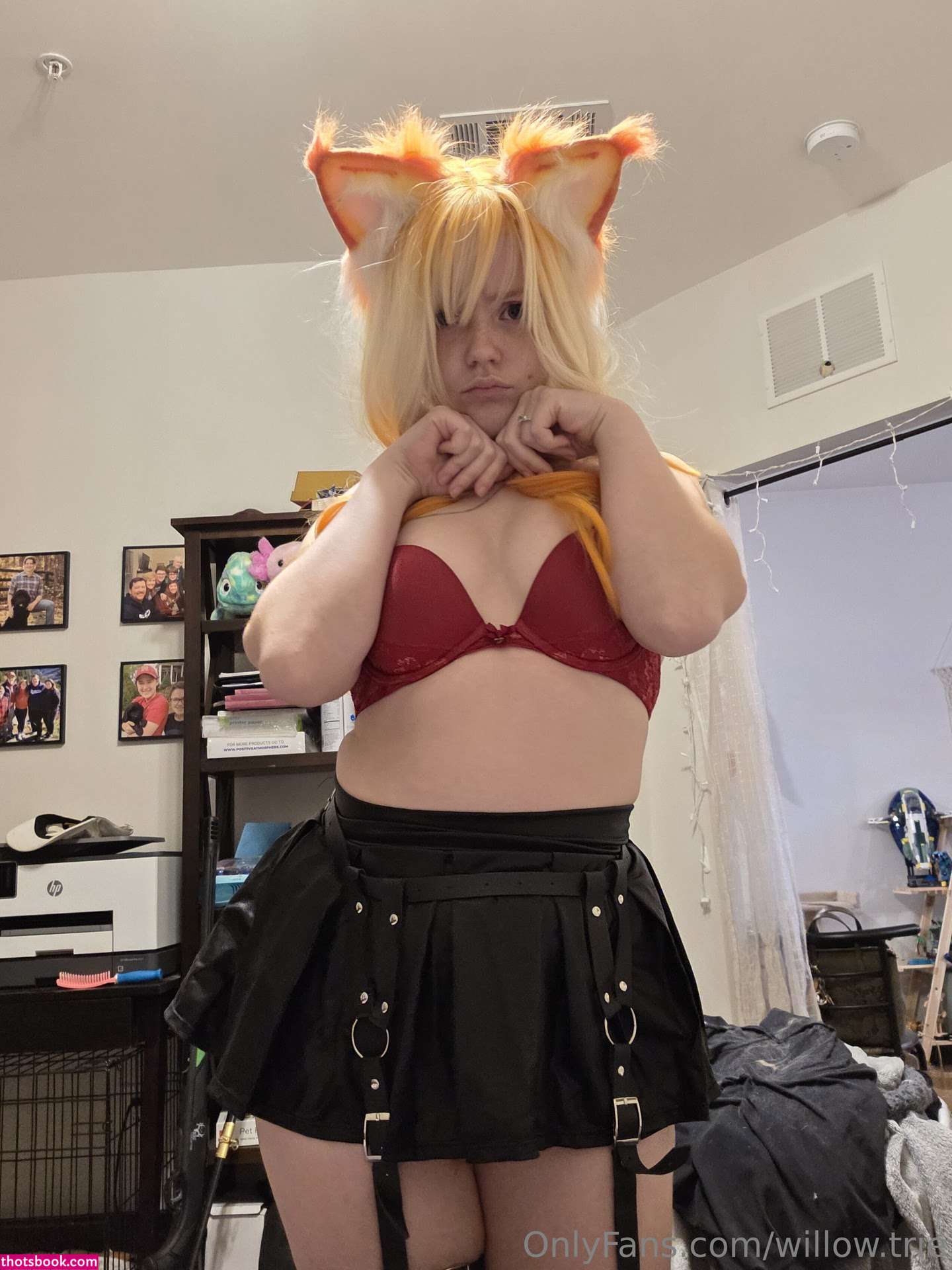 Willow Trie Photo #158