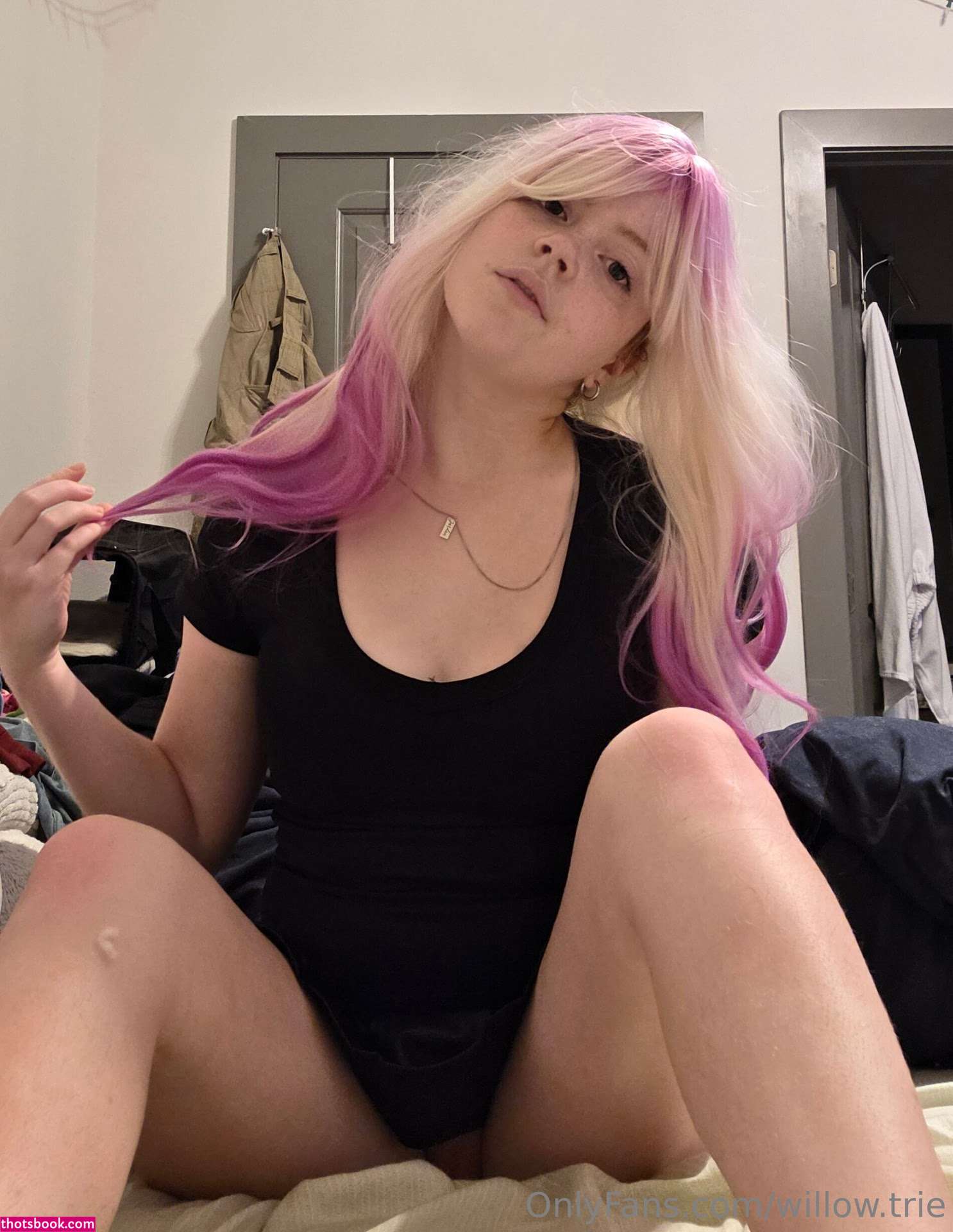 Willow Trie Photo #163