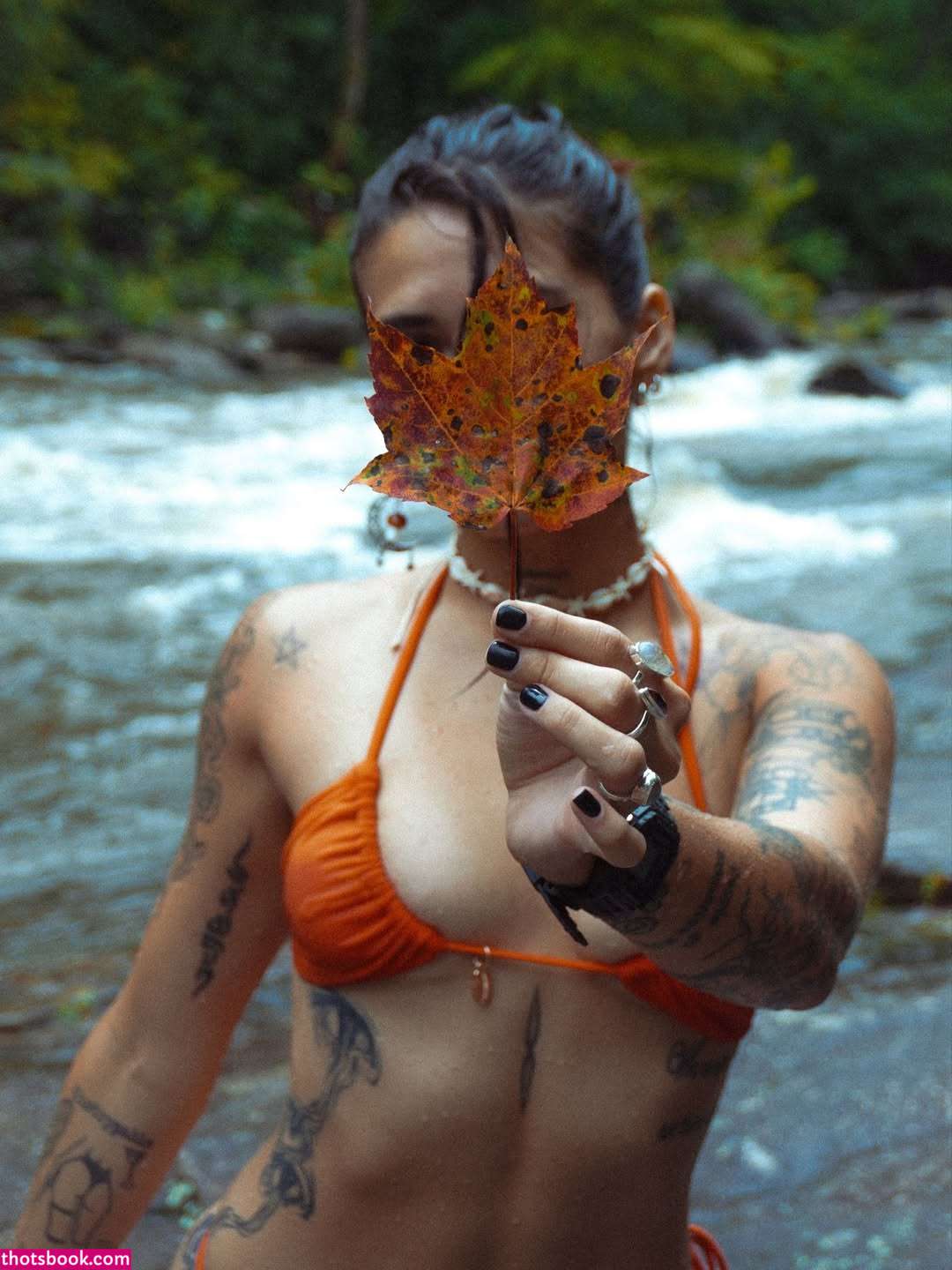 Horngryland Sha Photo #48