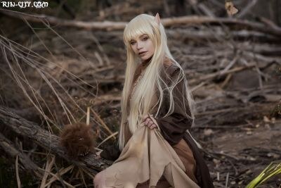 Creator Photo #7742