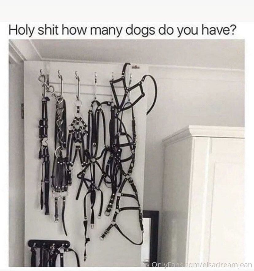 Elsa Jean Photo #146