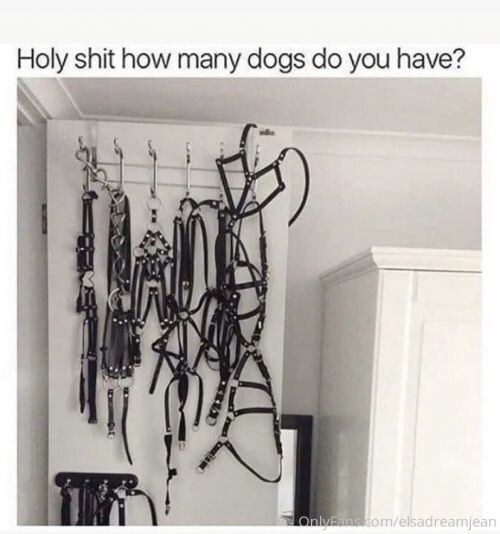 Elsa Jean Photo #146