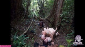 Oliviajarden Post #5