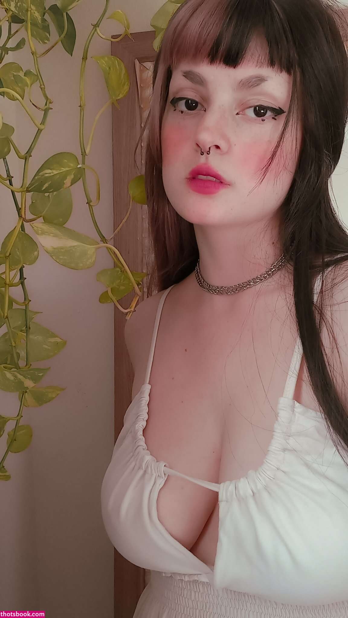 Usagiisenshi Photo #27