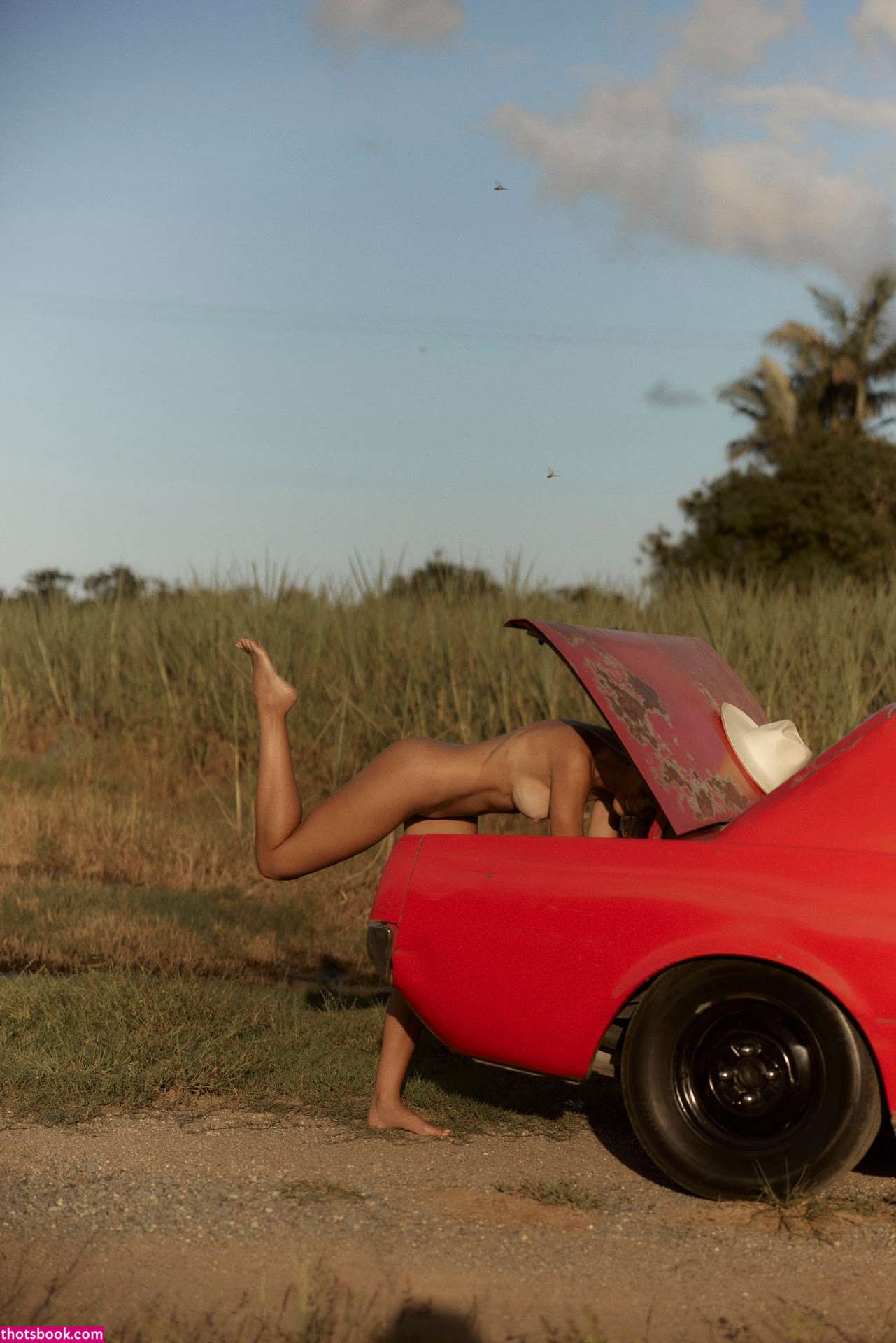 Series Magazine Photo #232