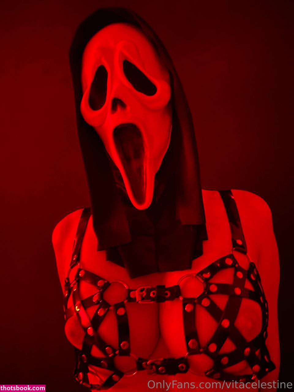 Vitacelestine Photo #58