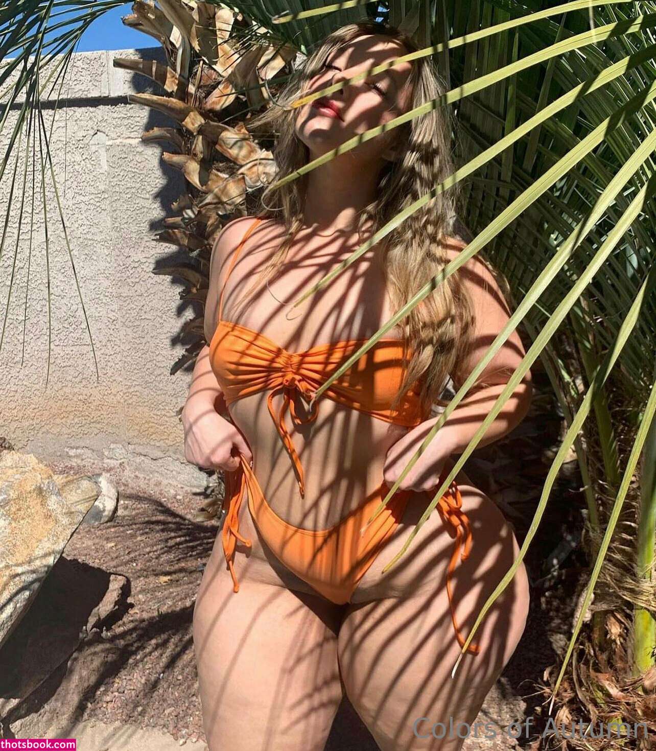 colorsofautumn Photo #61