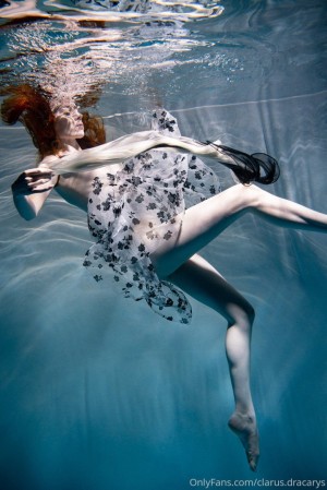 Clarus Polaris Photo #149