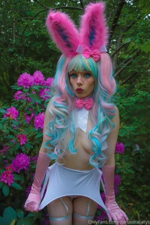 Clarus Polaris Photo #217