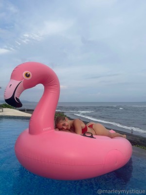 Marley Mystique Post #8