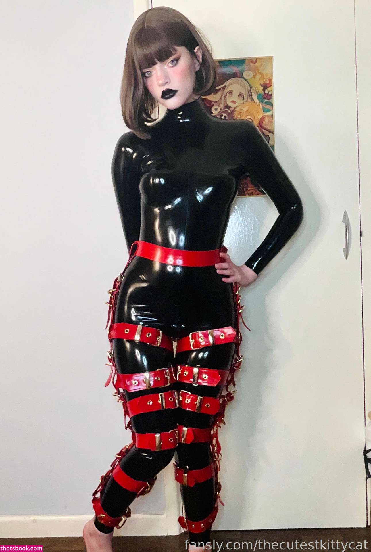 Misty Silver Photo #68