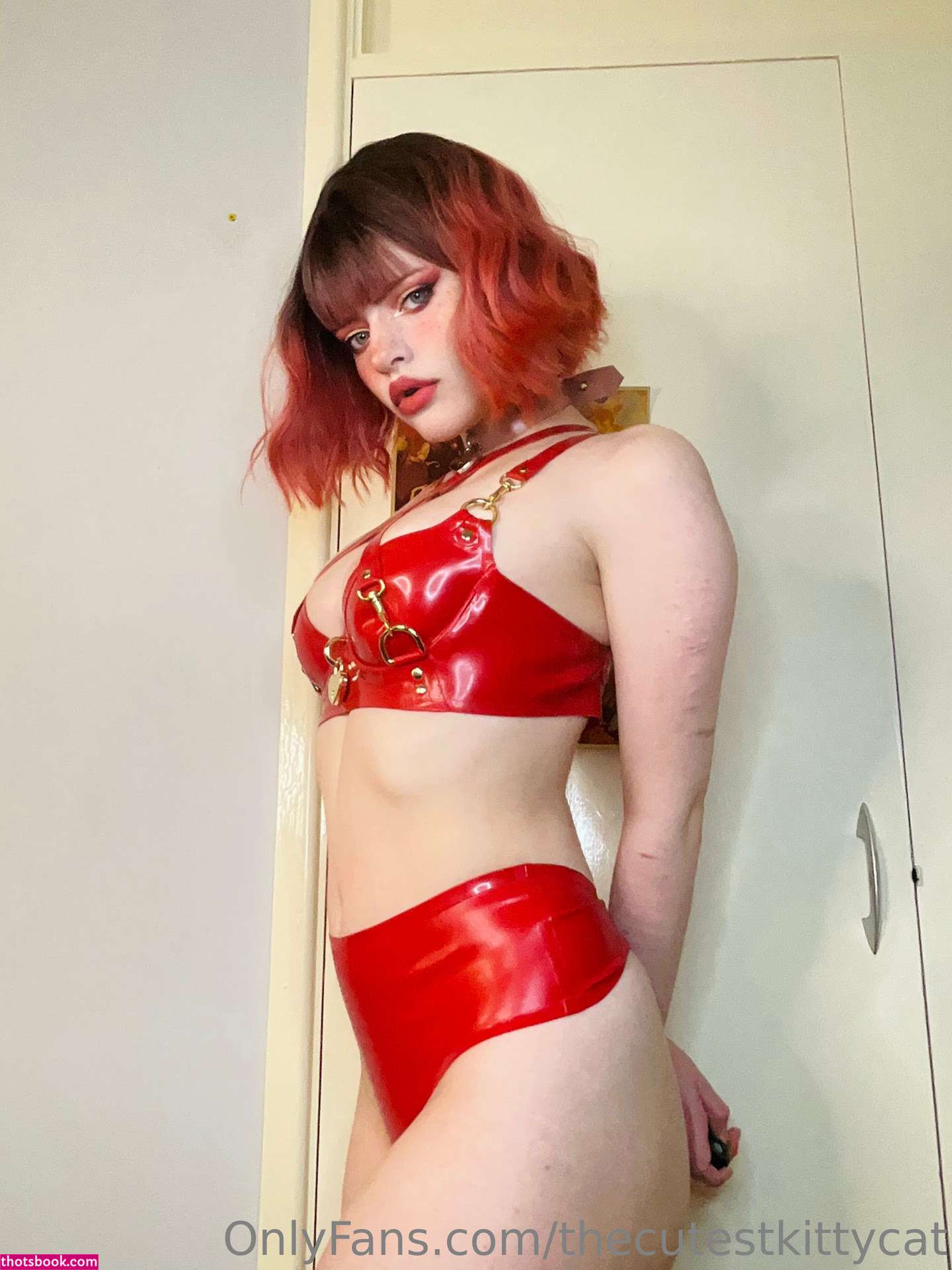 Misty Silver Photo #106