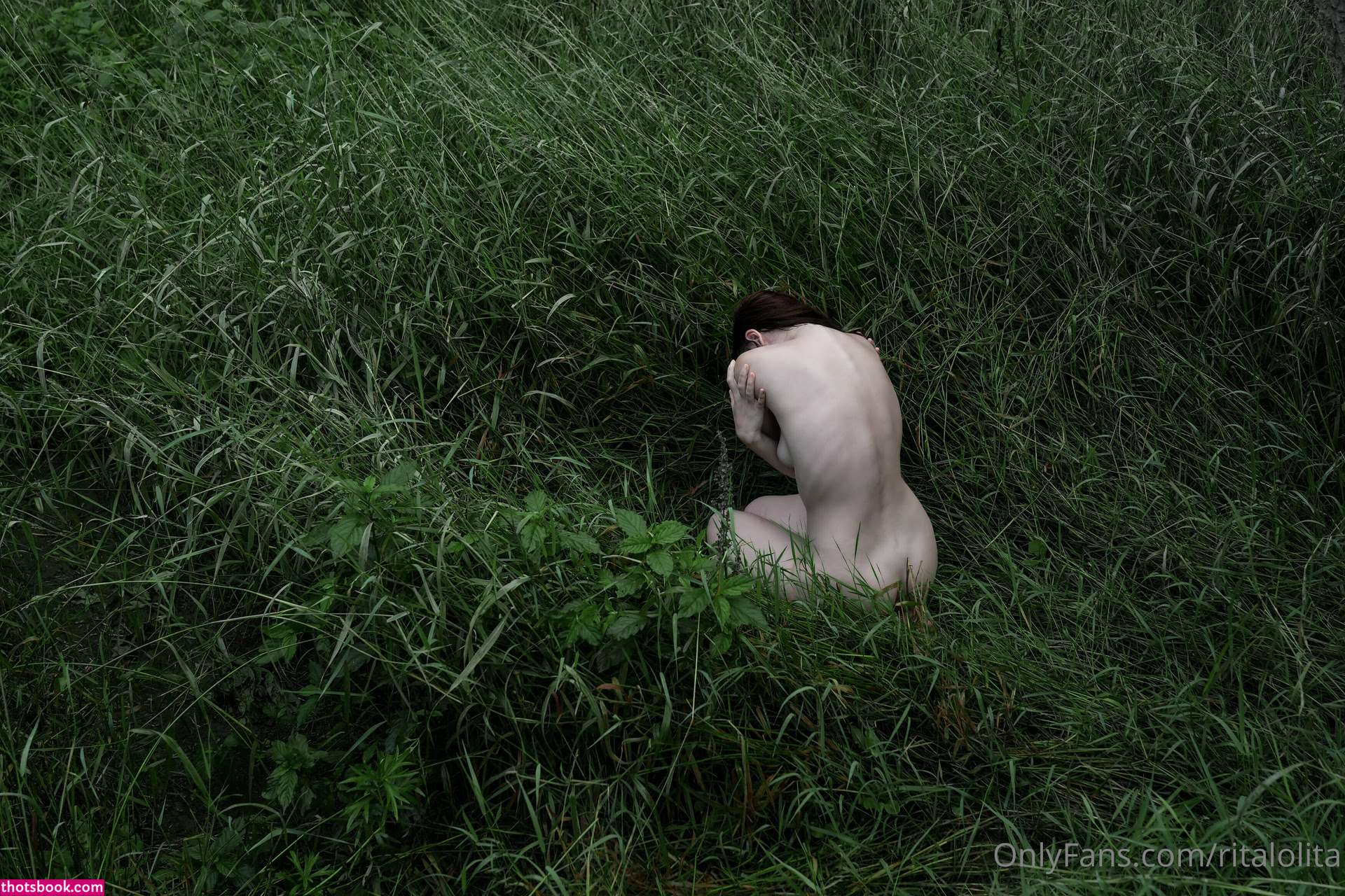 Rita Stark Photo #69