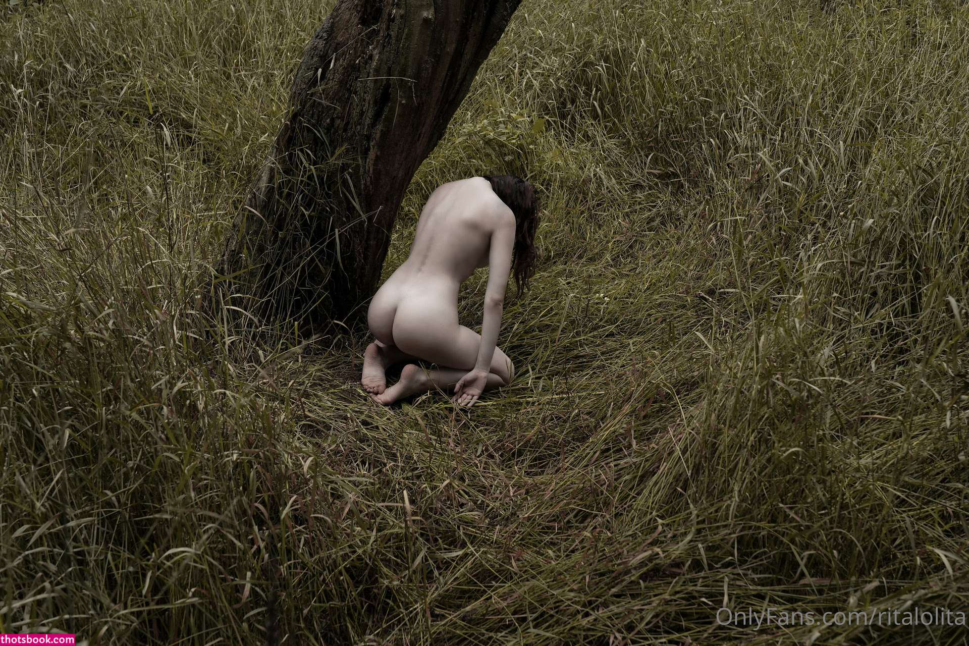 Rita Stark Photo #91