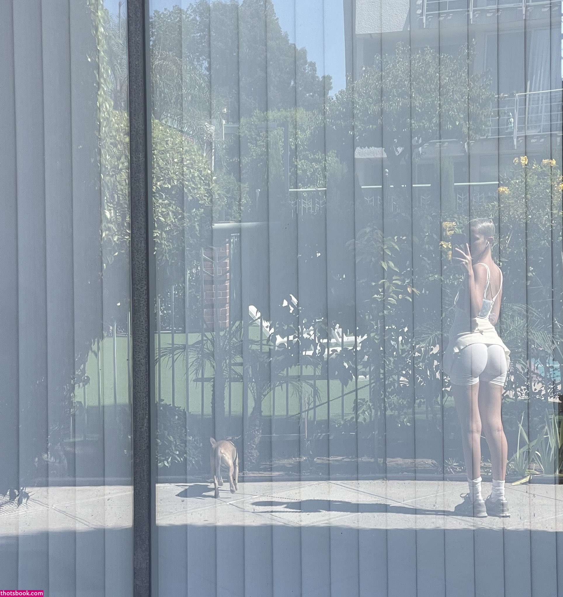 Daisy Delancey Photo #30