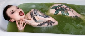 Faerie Blossom Photo #135