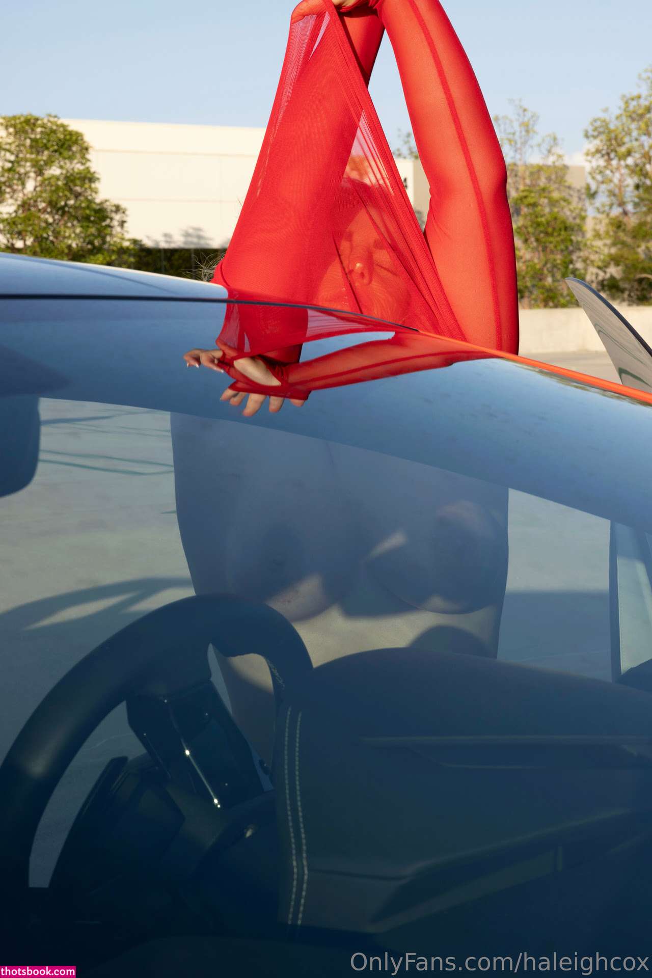 Haleigh Cox Photo #233