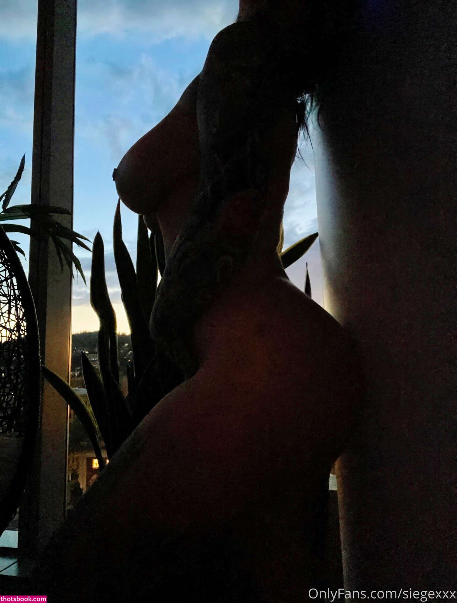 siegexxx Photo #299
