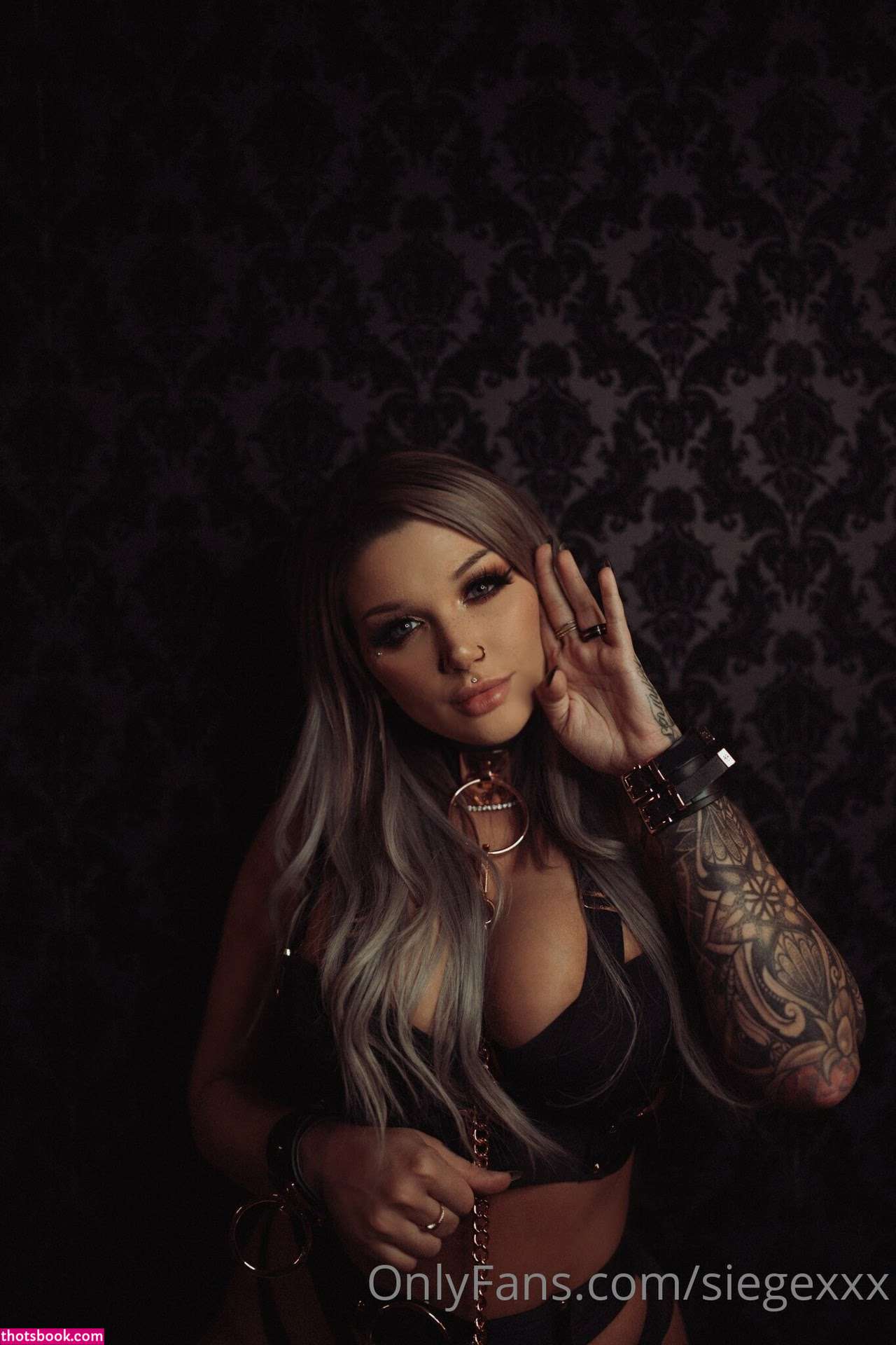 siegexxx Photo #609