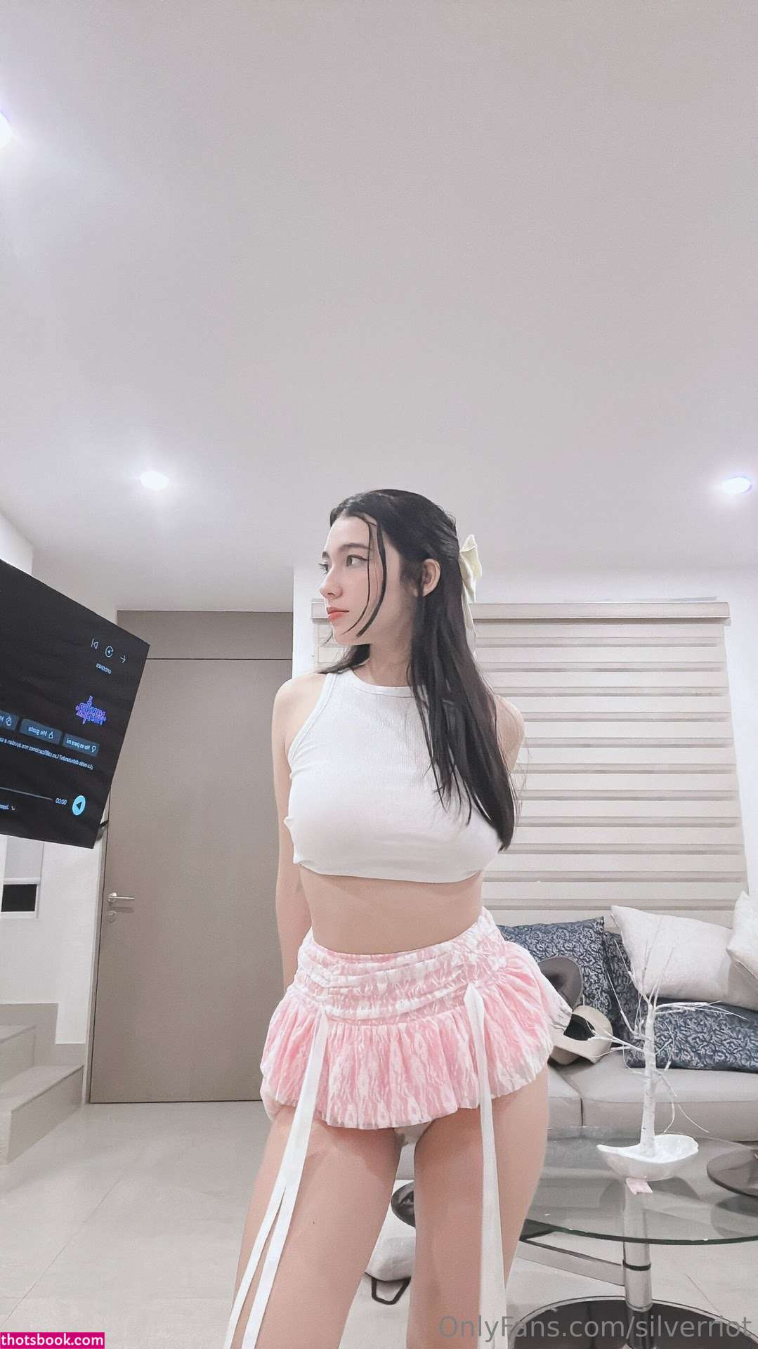 Silverriot Photo #87