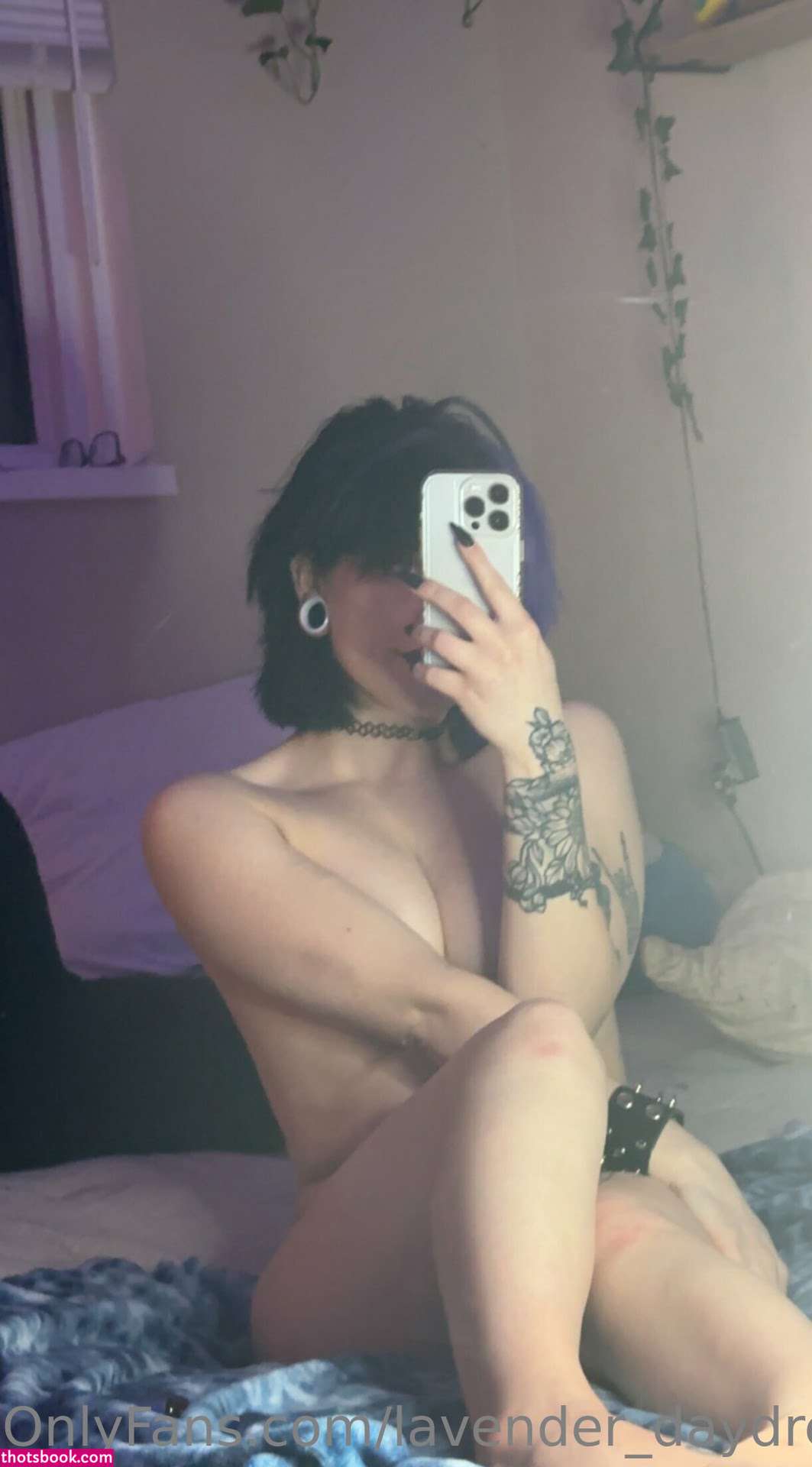 Lavender Daydream Photo #20