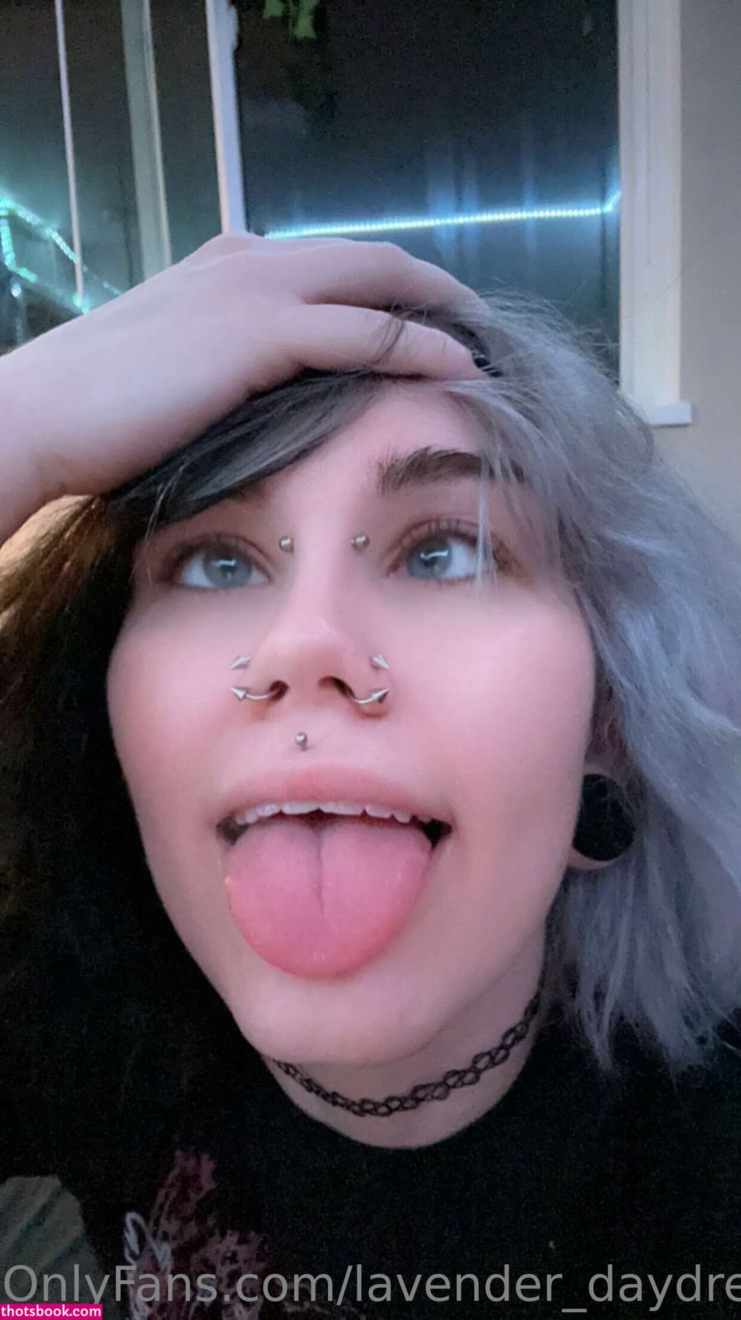 Lavender Daydream Photo #28