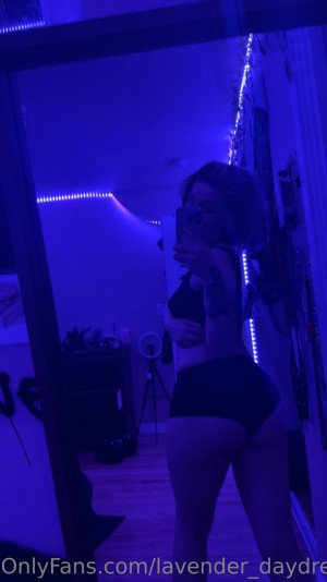 Lavender Daydream Photo #24