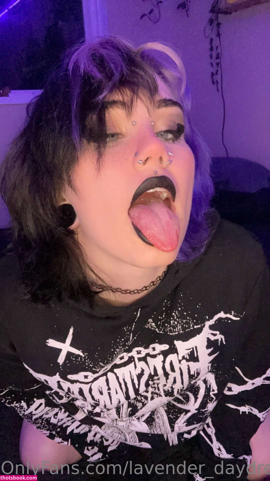 Lavender Daydream Photo #54