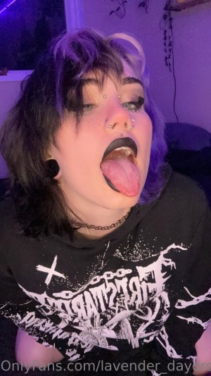 Lavender Daydream Photo #54