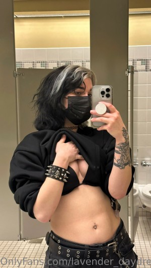 Lavender Daydream Photo #121