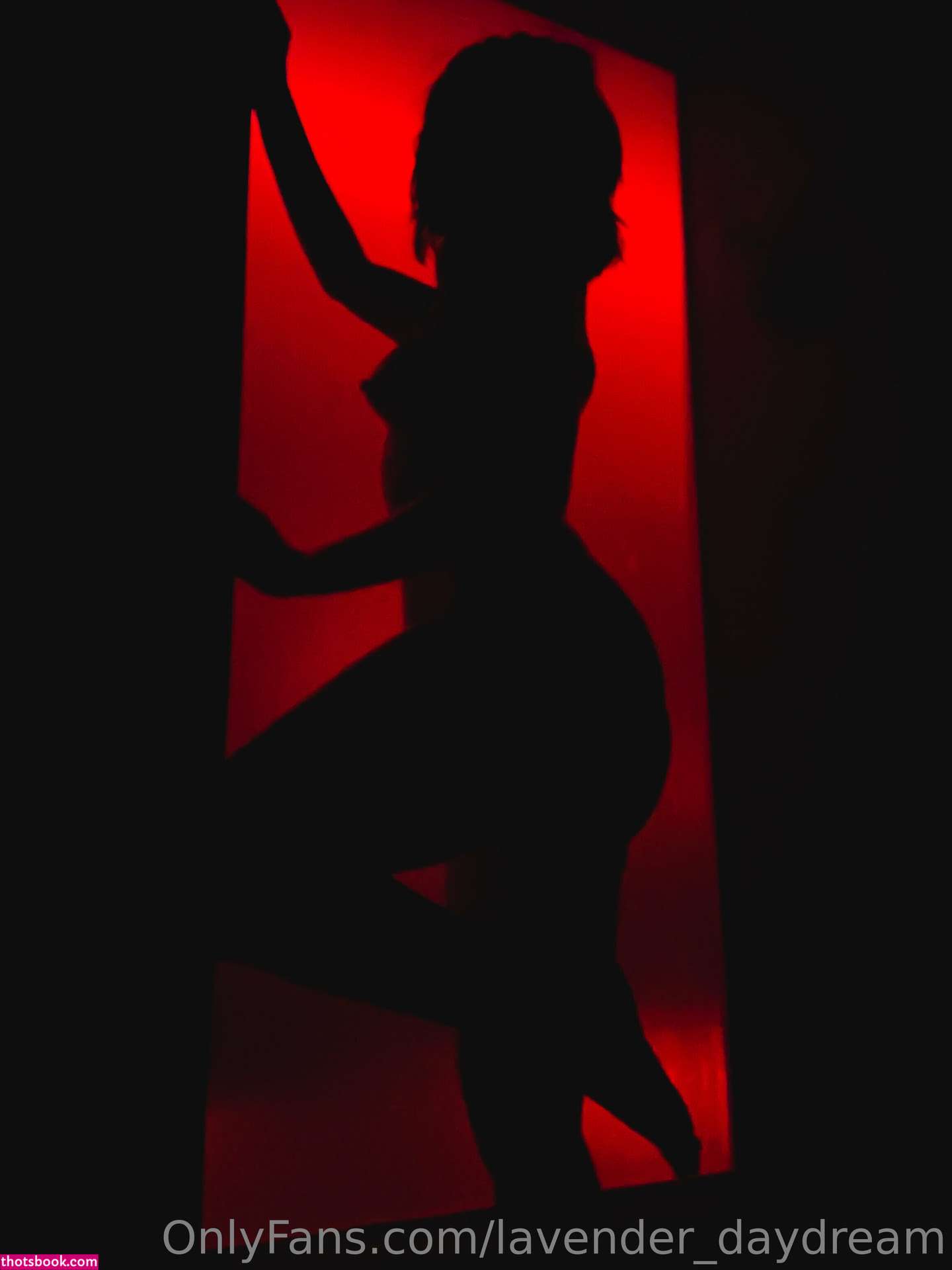 Lavender Daydream Photo #142