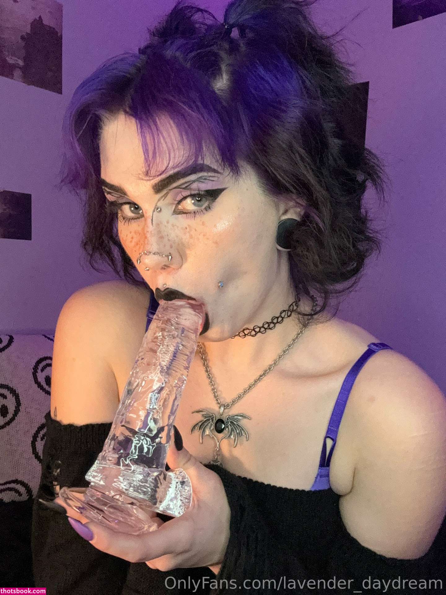 Lavender Daydream Photo #157