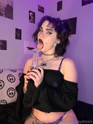 Lavender Daydream Photo #146