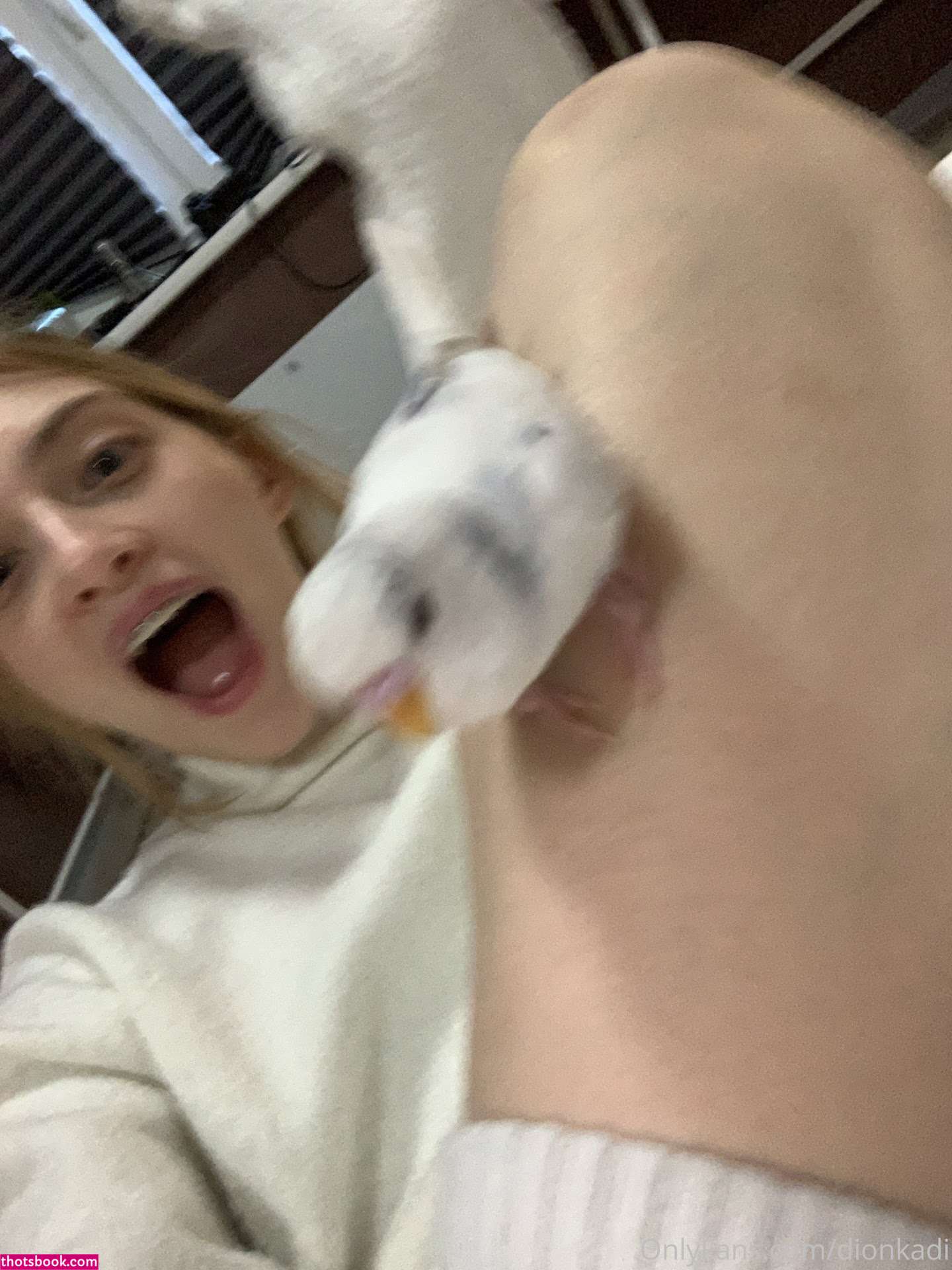 Dionkadi Czkrok Photo #92