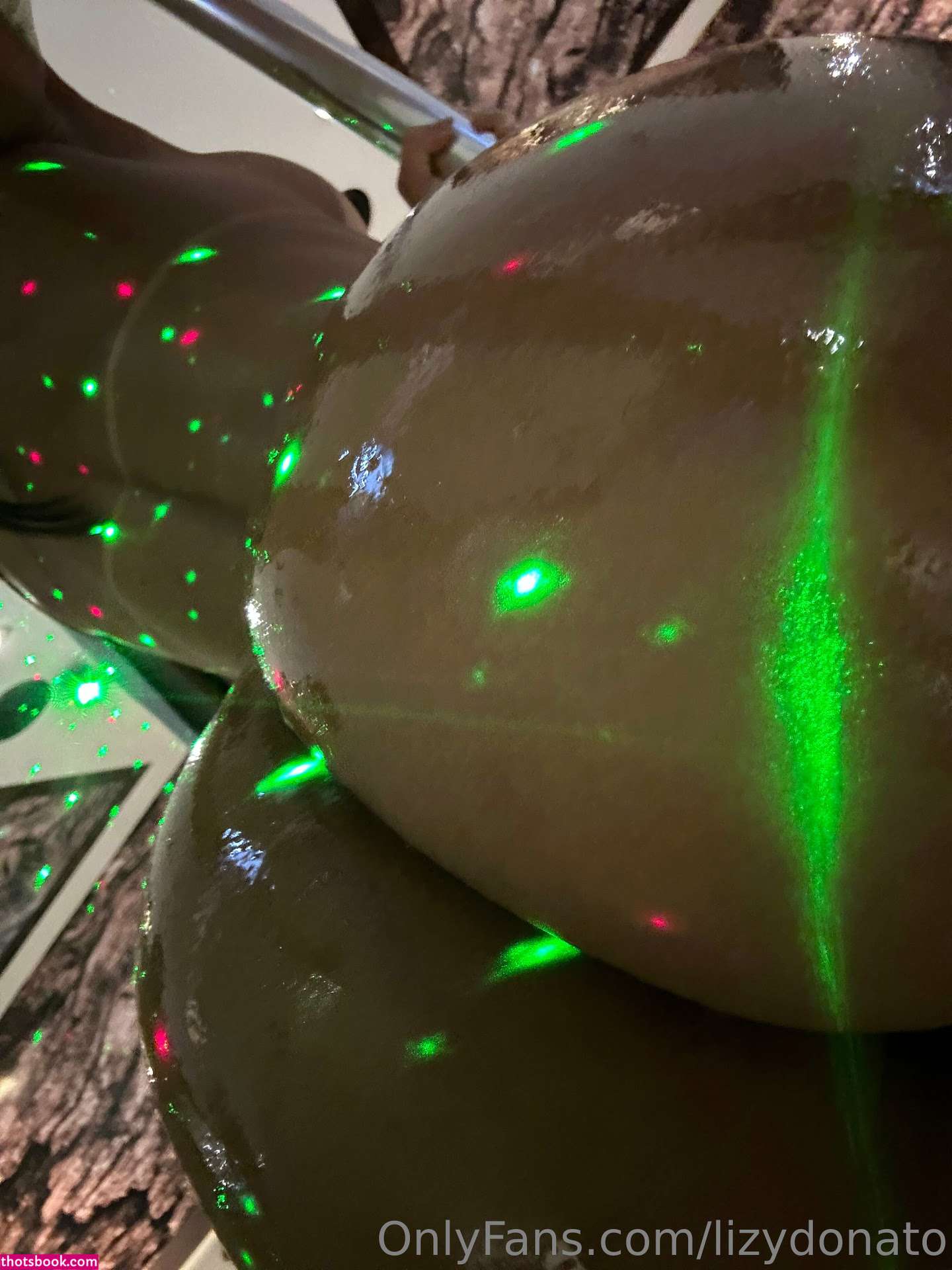 Lizy Donato Photo #107