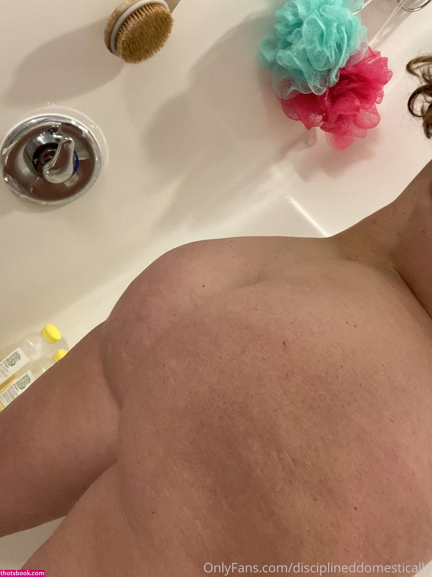 Disciplined Domestically Photo #57