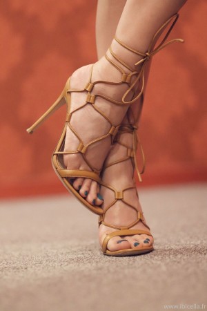 Ibicella Fr Photo #11