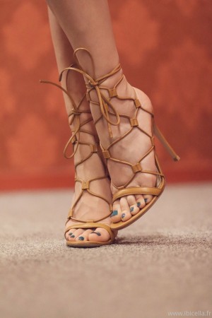 Ibicella Fr Photo #35