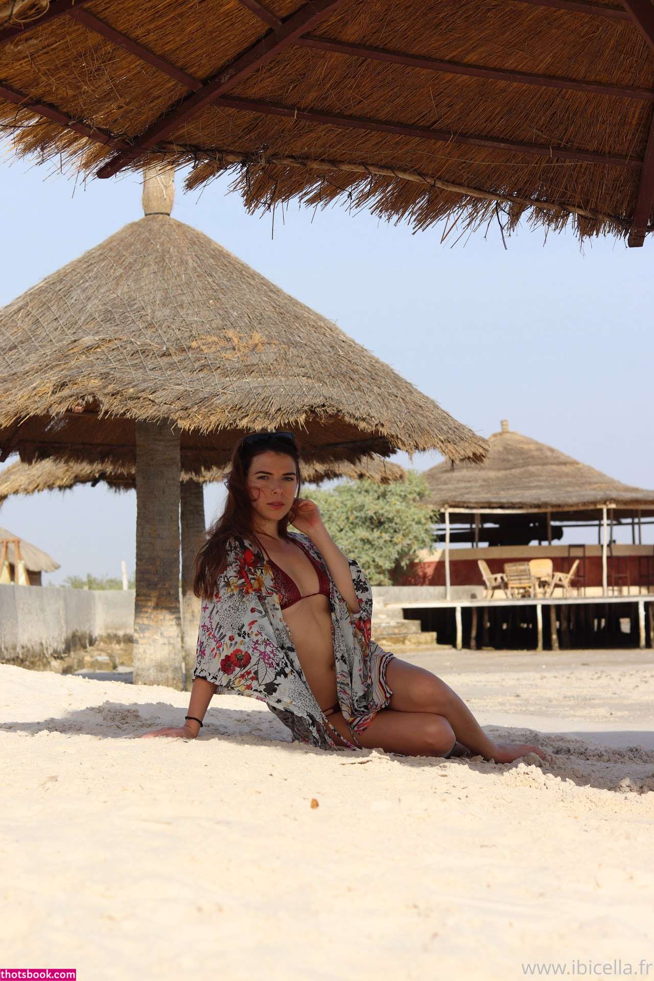 Ibicella Fr Photo #100