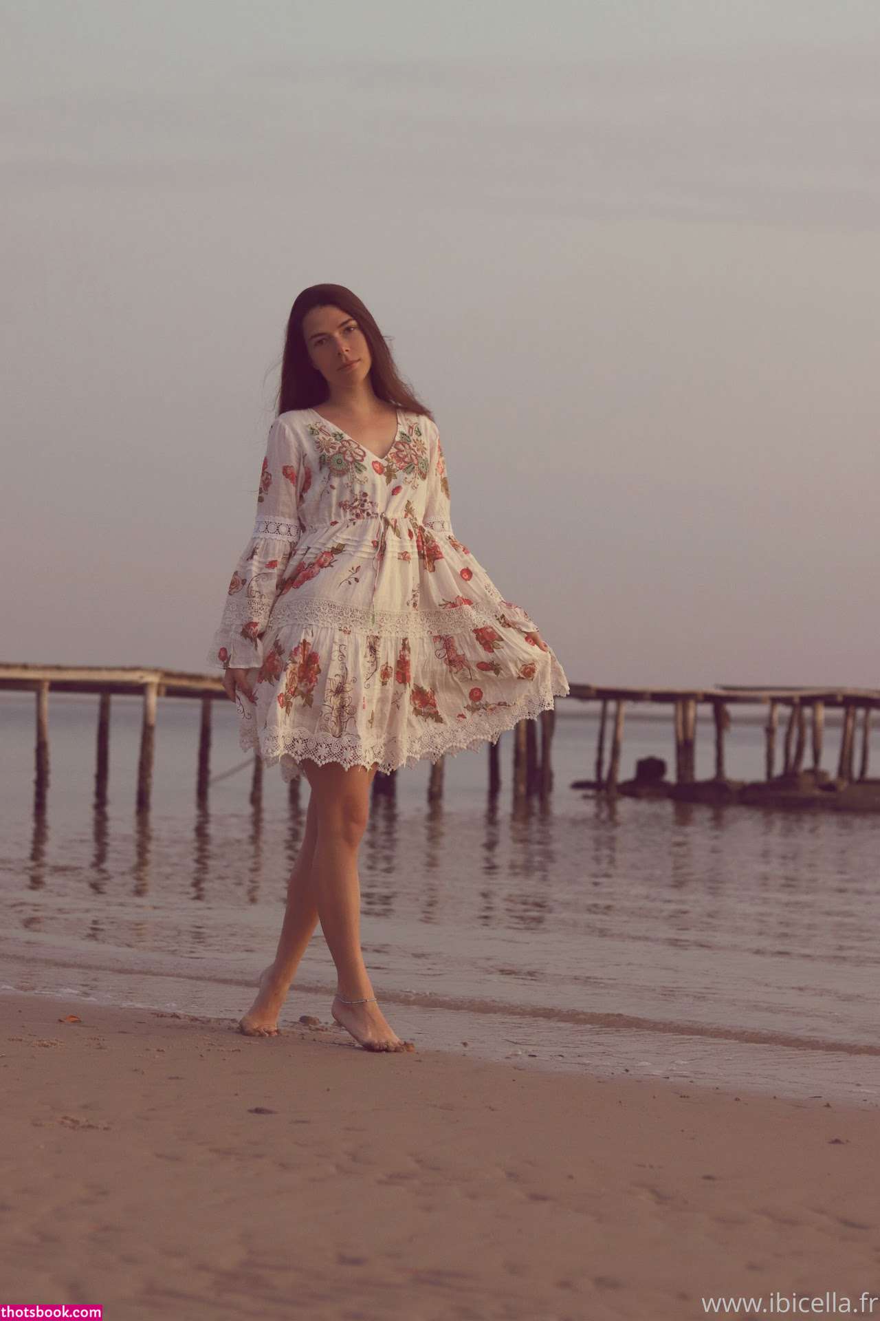 Ibicella Fr Photo #123