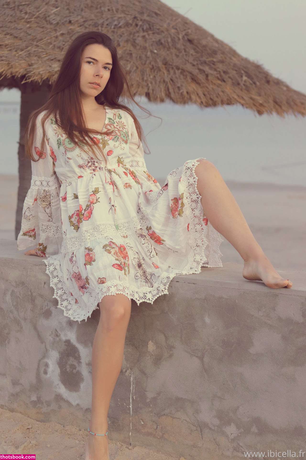 Ibicella Fr Photo #126