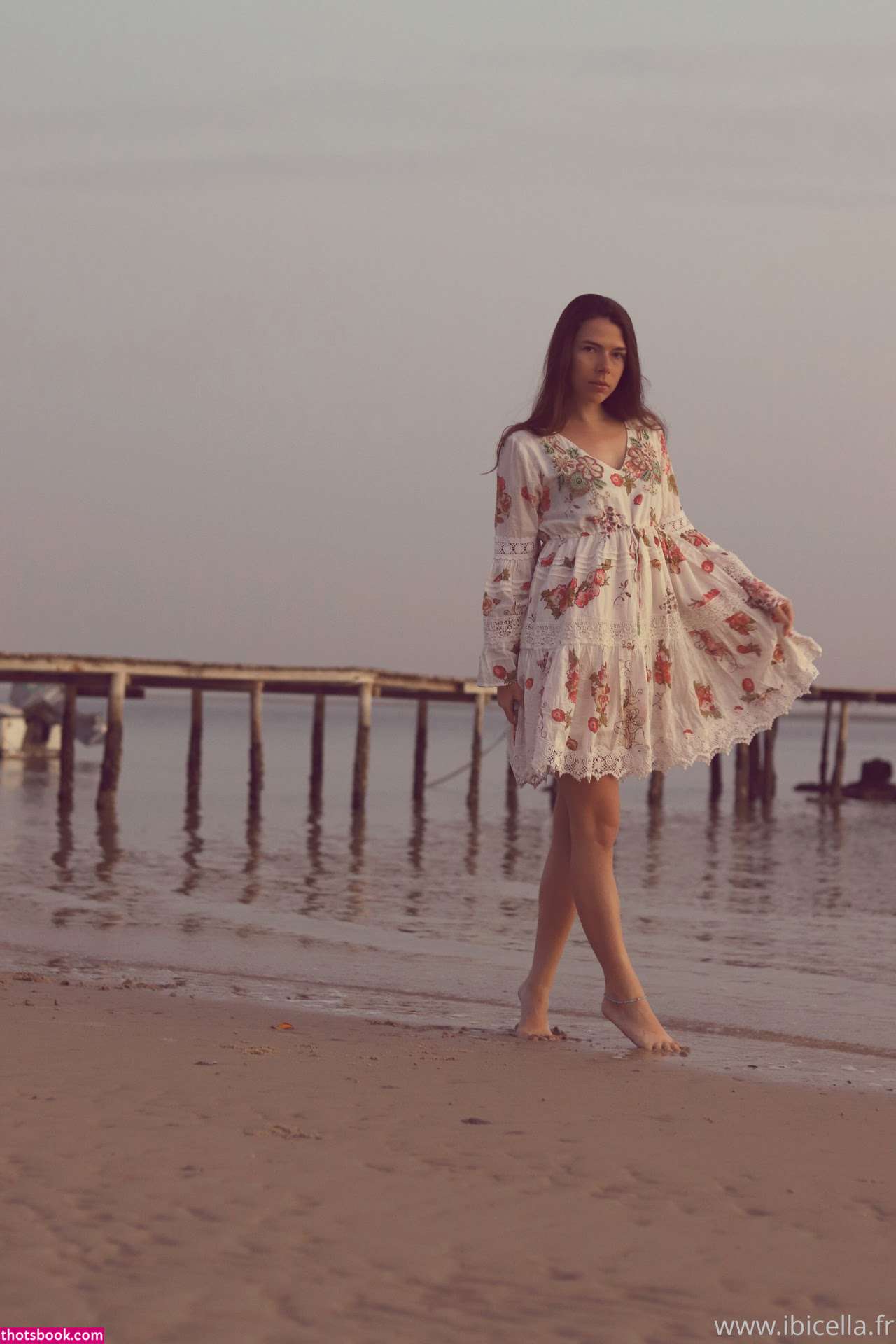 Ibicella Fr Photo #127