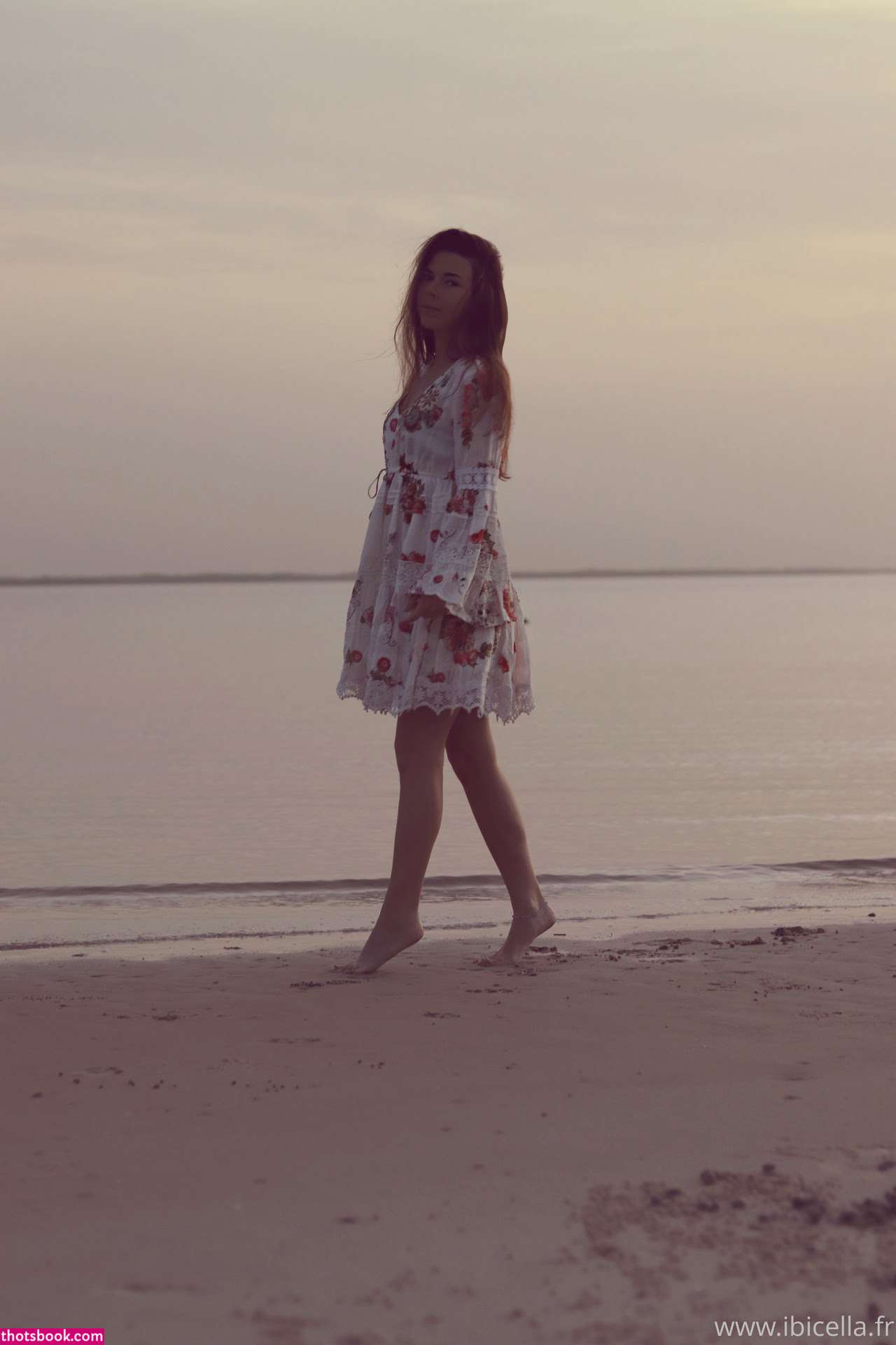 Ibicella Fr Photo #130