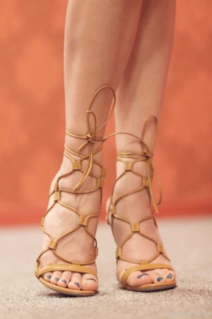 Ibicella Fr Post #14