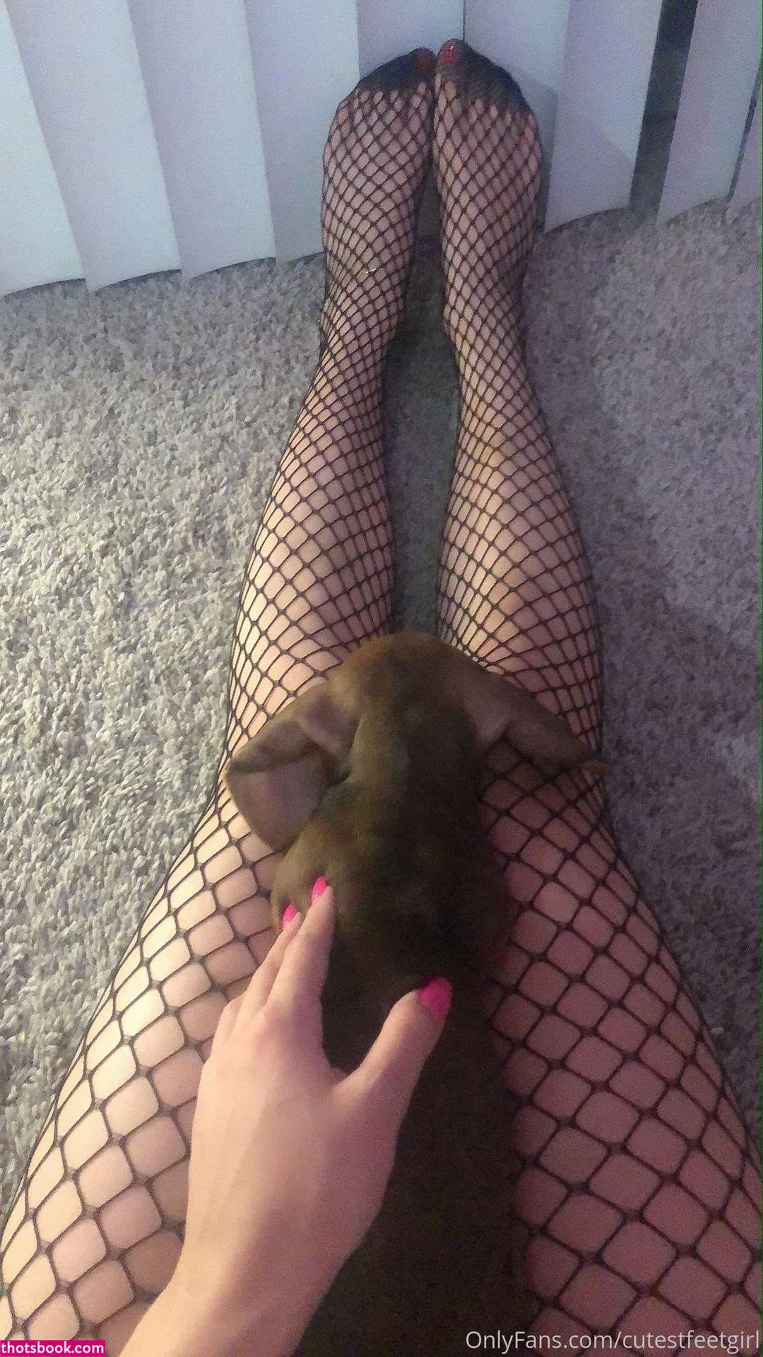 cutestfeetgirl Photo #144