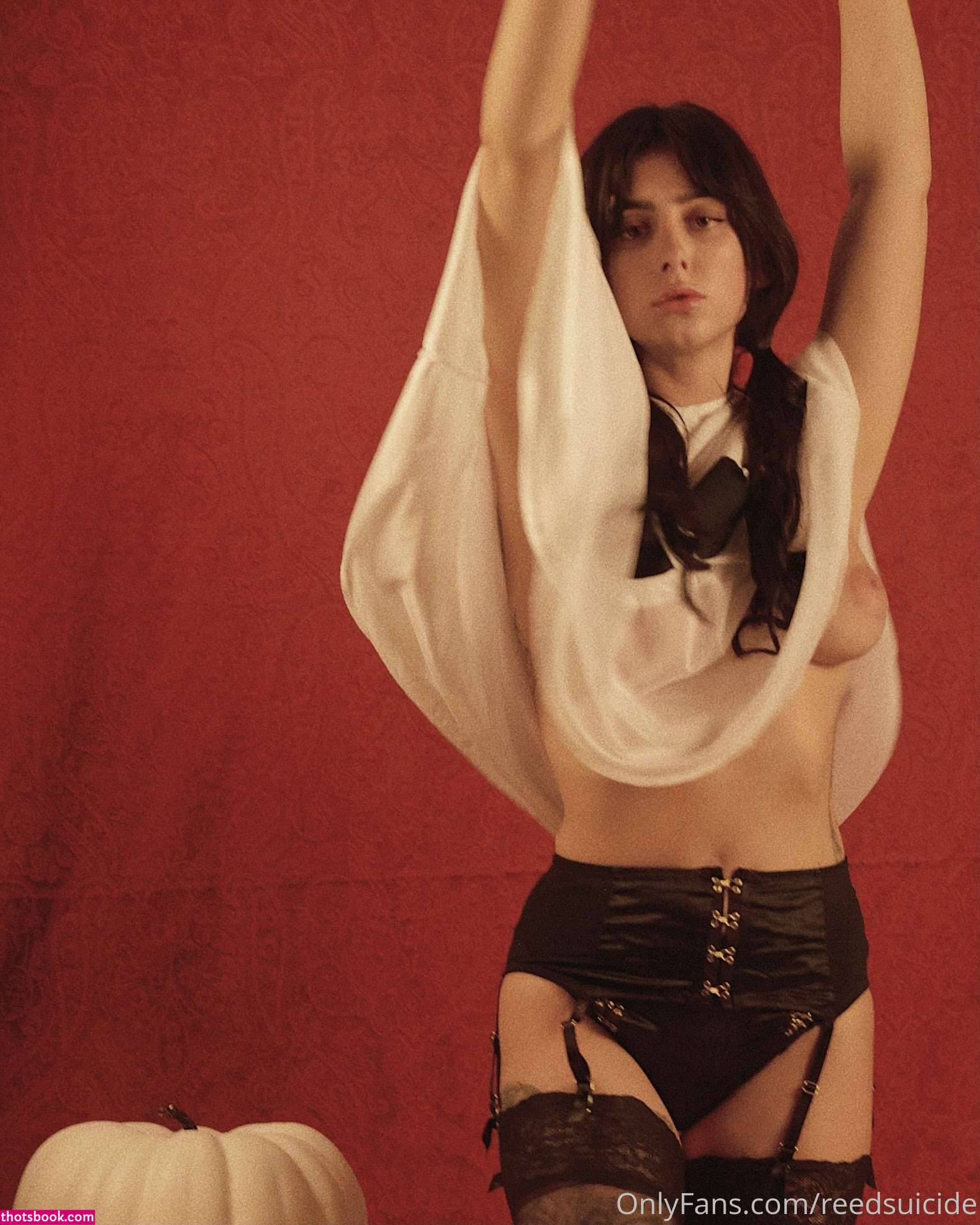 Reed Suicide Photo #35